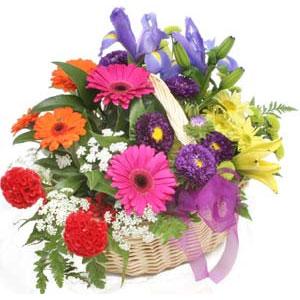 Karışık mevsim çiçekleri sepeti  Adana çiçek siparişi internetten çiçek siparişi 