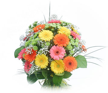 13 adet gerbera çiçeği buketi  Adana çiçek siparişi online çiçek gönderme sipariş 